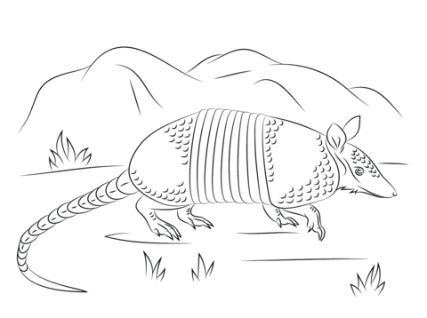 Nine Banded Armadillo Walks Coloring Page